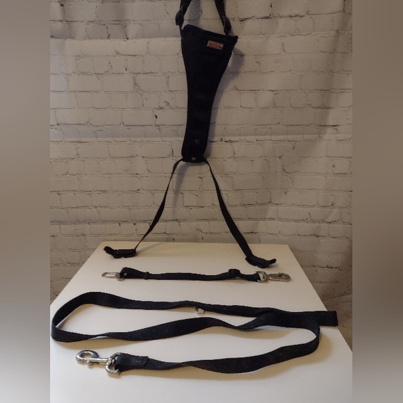 Petco Seat Belt Safety Dog Harness with Matching Leash - Picture 1 of 4